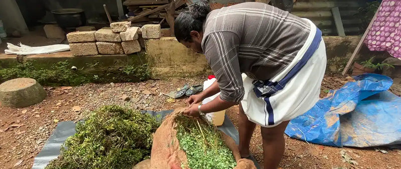 How We Create Our Herbal Formulations