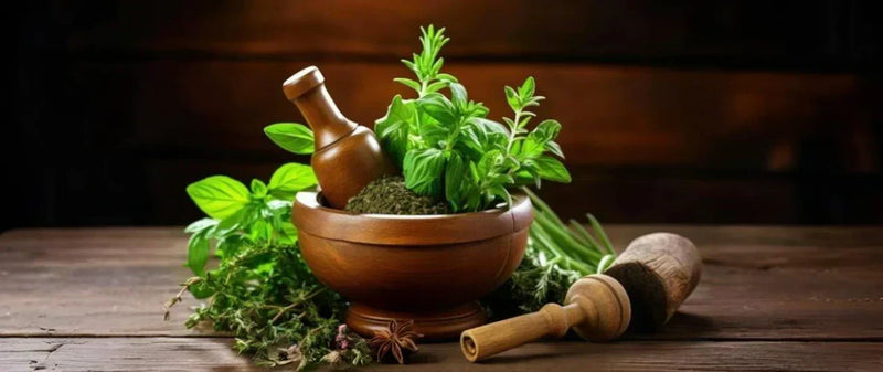 Ingredient Spotlight: Benefits of Ayurvedic Herbs for Hair & Skin