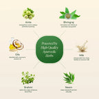 Oushara Ayurvedic Hair Revival Oil